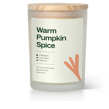 Plant Therapy brand Warm Pumpkin Spice Naturally Scented Candle
